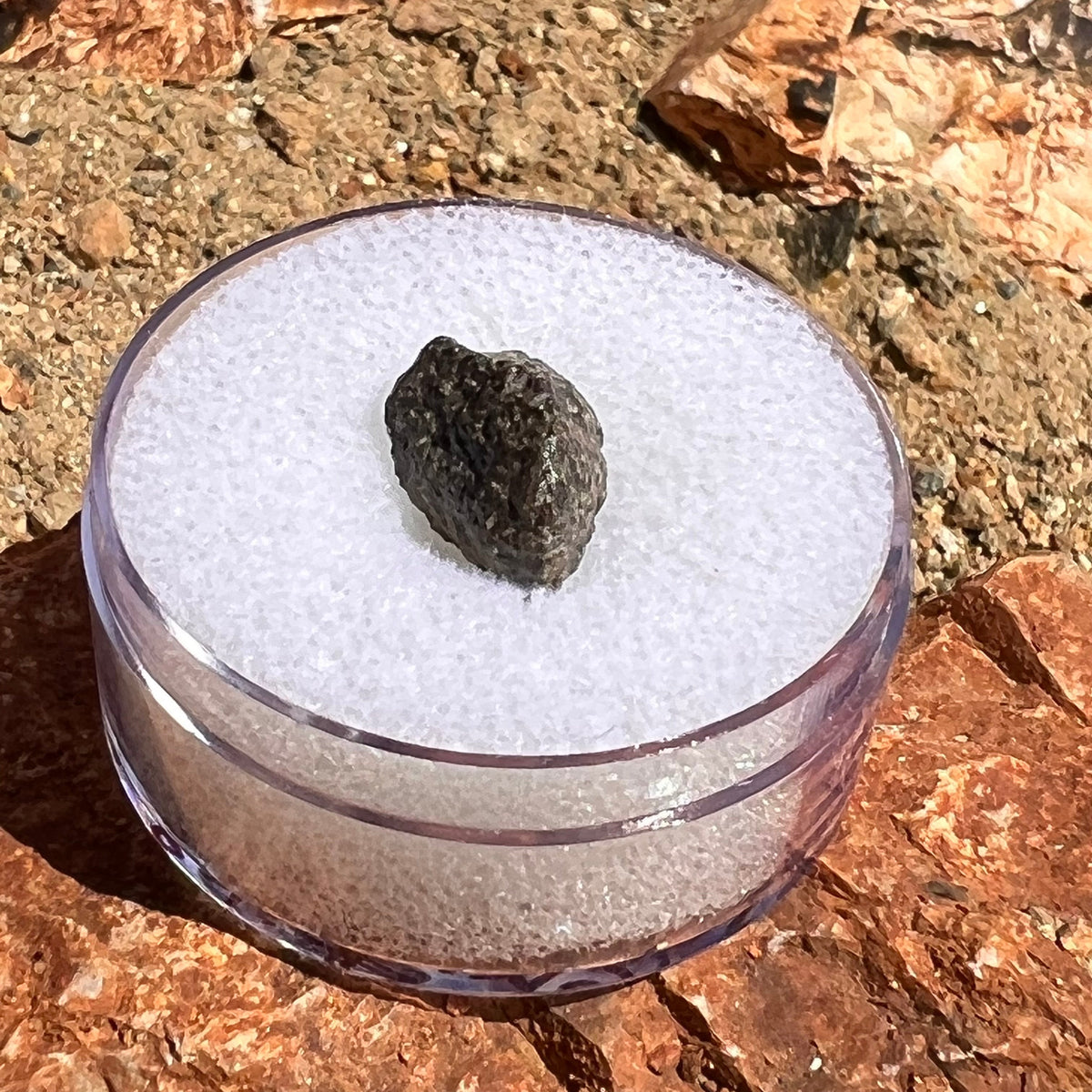 NWA 12269 Mars Meteorite fragment with Window #48-Moldavite Life