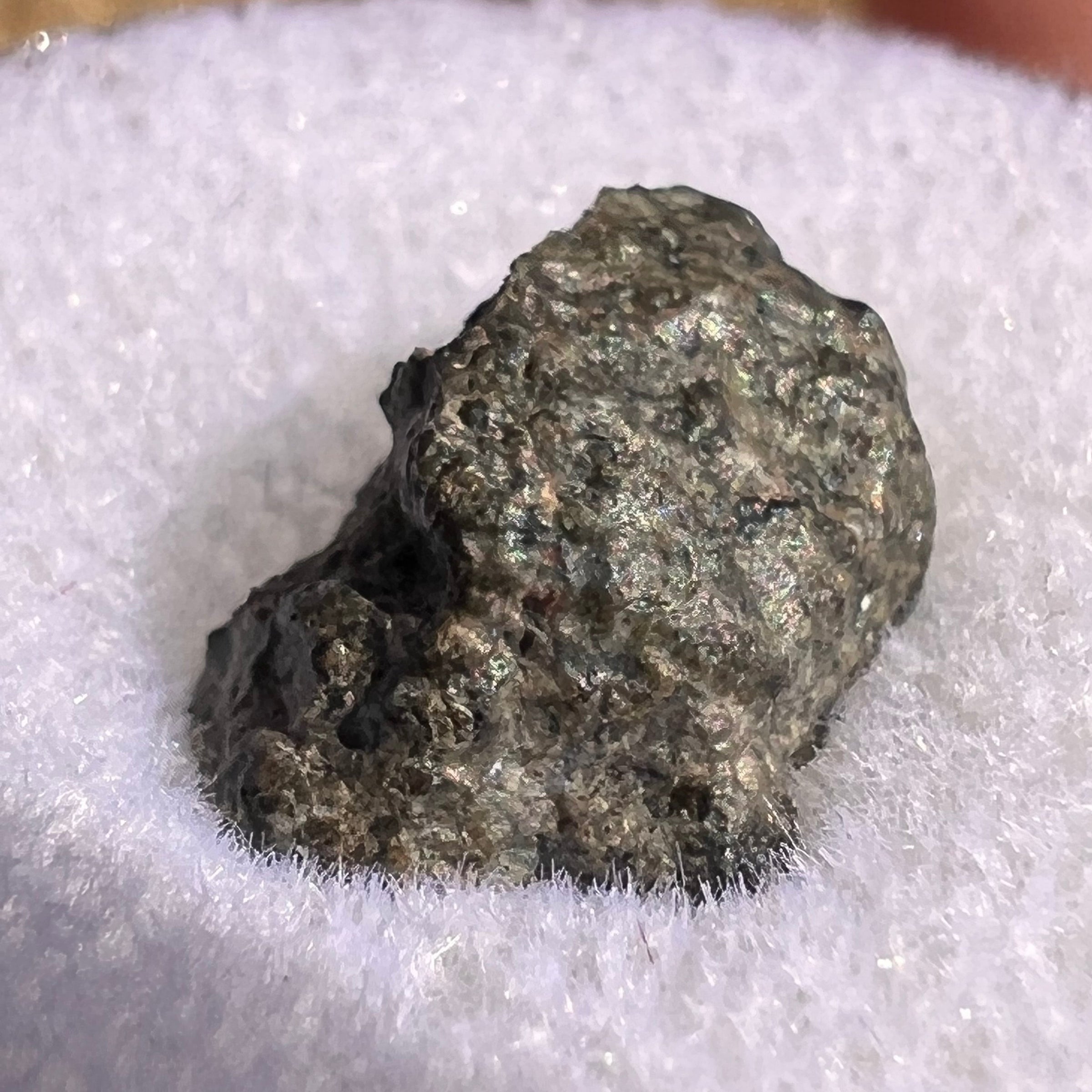 NWA 12269 Mars Meteorite fragment with Window #49-Moldavite Life