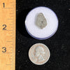 NWA 12269 Mars Meteorite fragment with Window #50-Moldavite Life