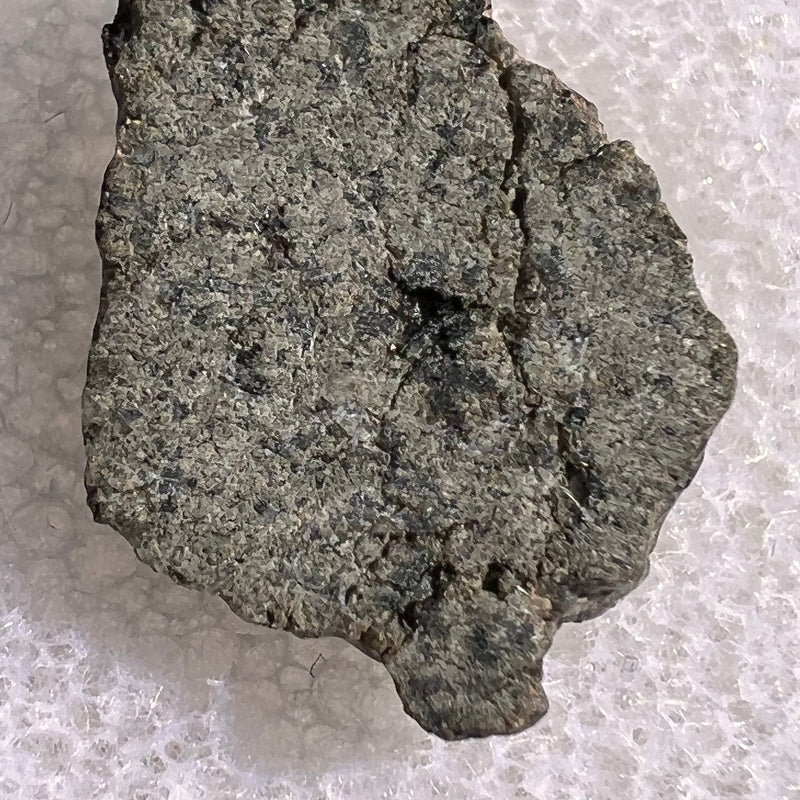 NWA 12269 Mars Meteorite fragment with Window #50-Moldavite Life
