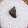 NWA 12269 Mars Meteorite small fragment #42-Moldavite Life