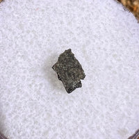 NWA 12269 Mars Meteorite tiny fragment #40-Moldavite Life