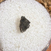 NWA 12269 Mars Meteorite tiny fragment #44-Moldavite Life