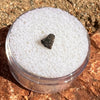 NWA 12269 Mars Meteorite tiny fragment #56-Moldavite Life
