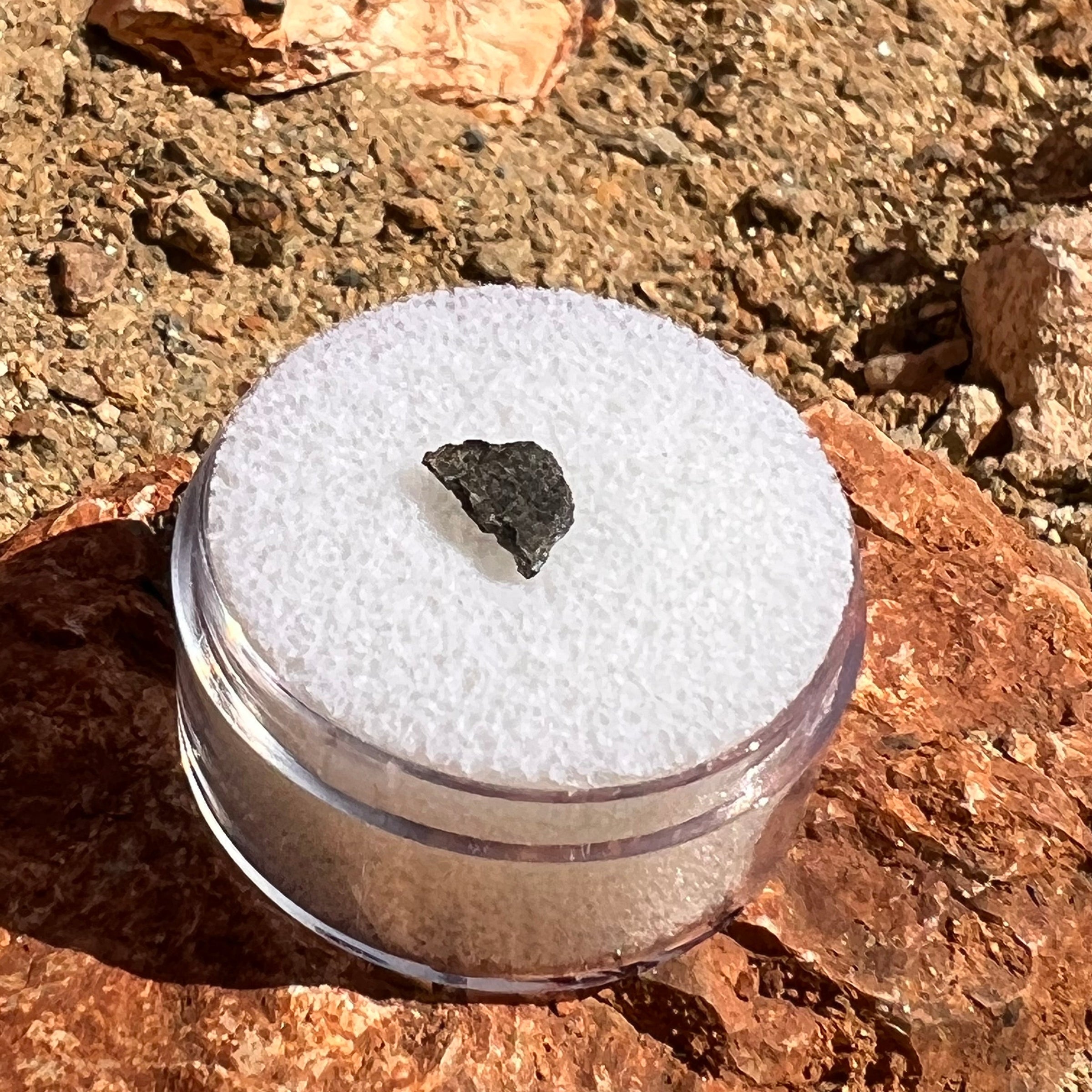 NWA 12269 Mars Meteorite tiny fragment #59-Moldavite Life