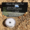 NWA 12269 Mars Meteorite tiny fragment #60-Moldavite Life