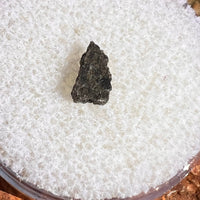 NWA 12269 Mars Meteorite tiny fragment #63-Moldavite Life