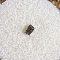 NWA 12269 Mars Meteorite very tiny fragment #61-Moldavite Life