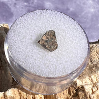 NWA 13974 Lunar Meteorite 0.2 grams #124-Moldavite Life