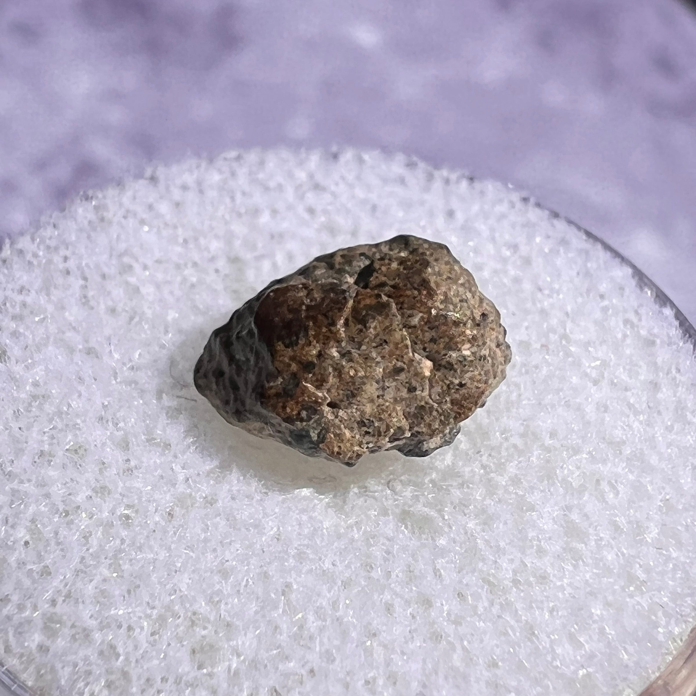 NWA 13974 Lunar Meteorite 0.5 grams #118-Moldavite Life