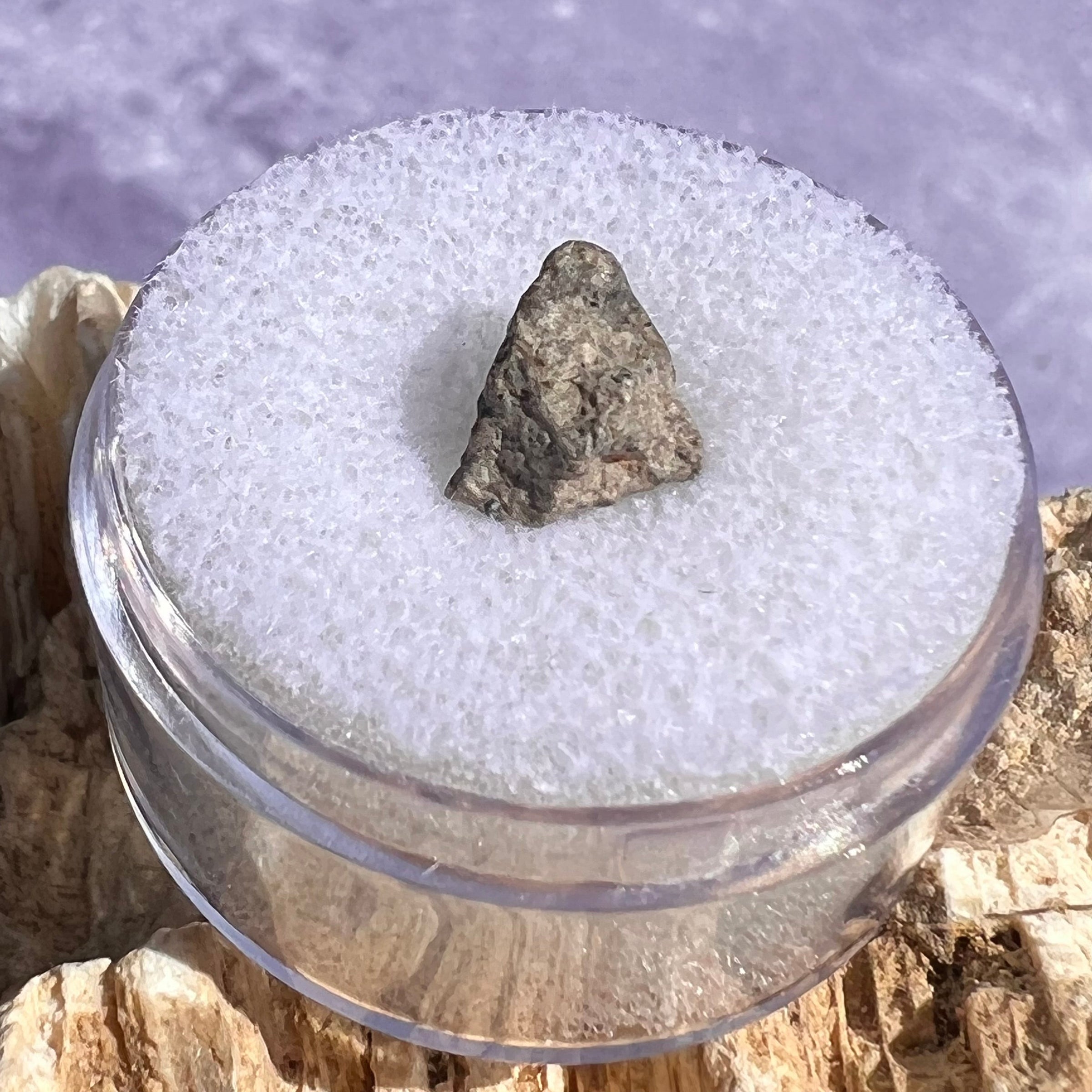 NWA 13974 Lunar Meteorite 0.6 grams #117-Moldavite Life
