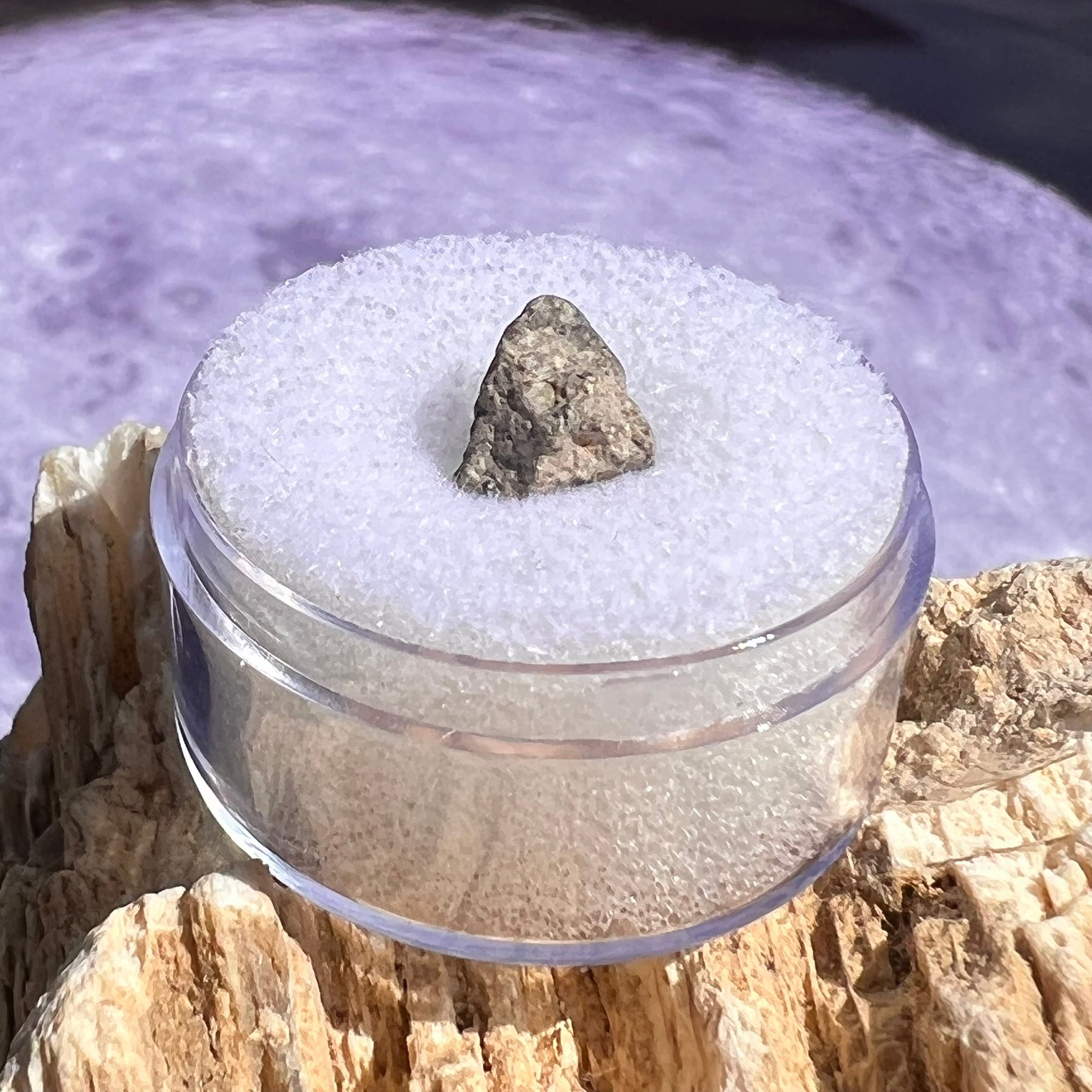 NWA 13974 Lunar Meteorite 0.6 grams #117-Moldavite Life
