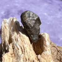 NWA 13974 Lunar Meteorite 0.9 grams #100-Moldavite Life