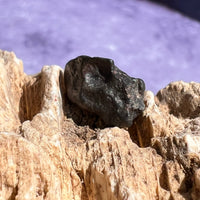 NWA 13974 Lunar Meteorite 0.9 grams #100-Moldavite Life