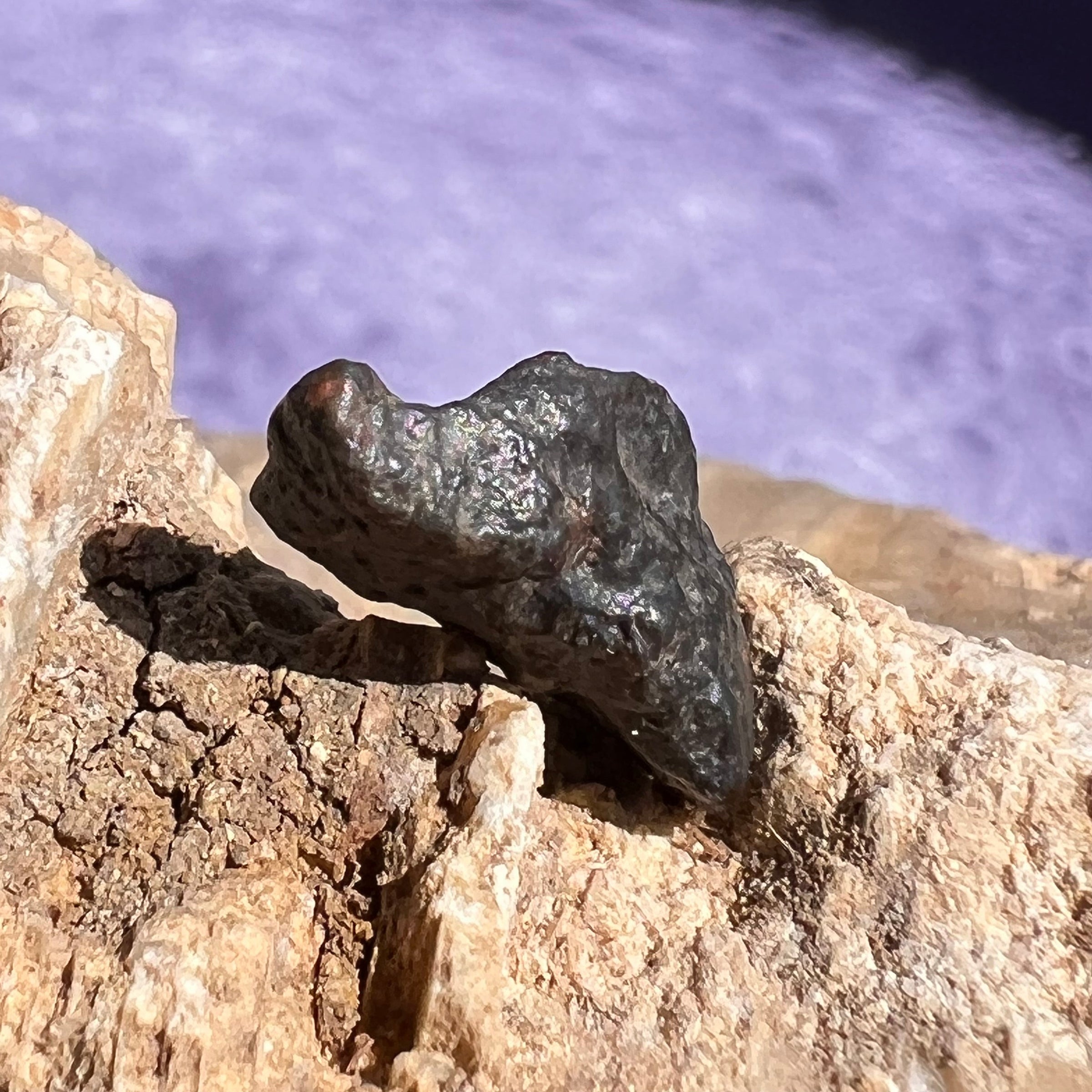 NWA 13974 Lunar Meteorite 1.2 grams #101-Moldavite Life