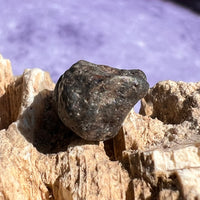 NWA 13974 Lunar Meteorite 1.7 grams #116-Moldavite Life