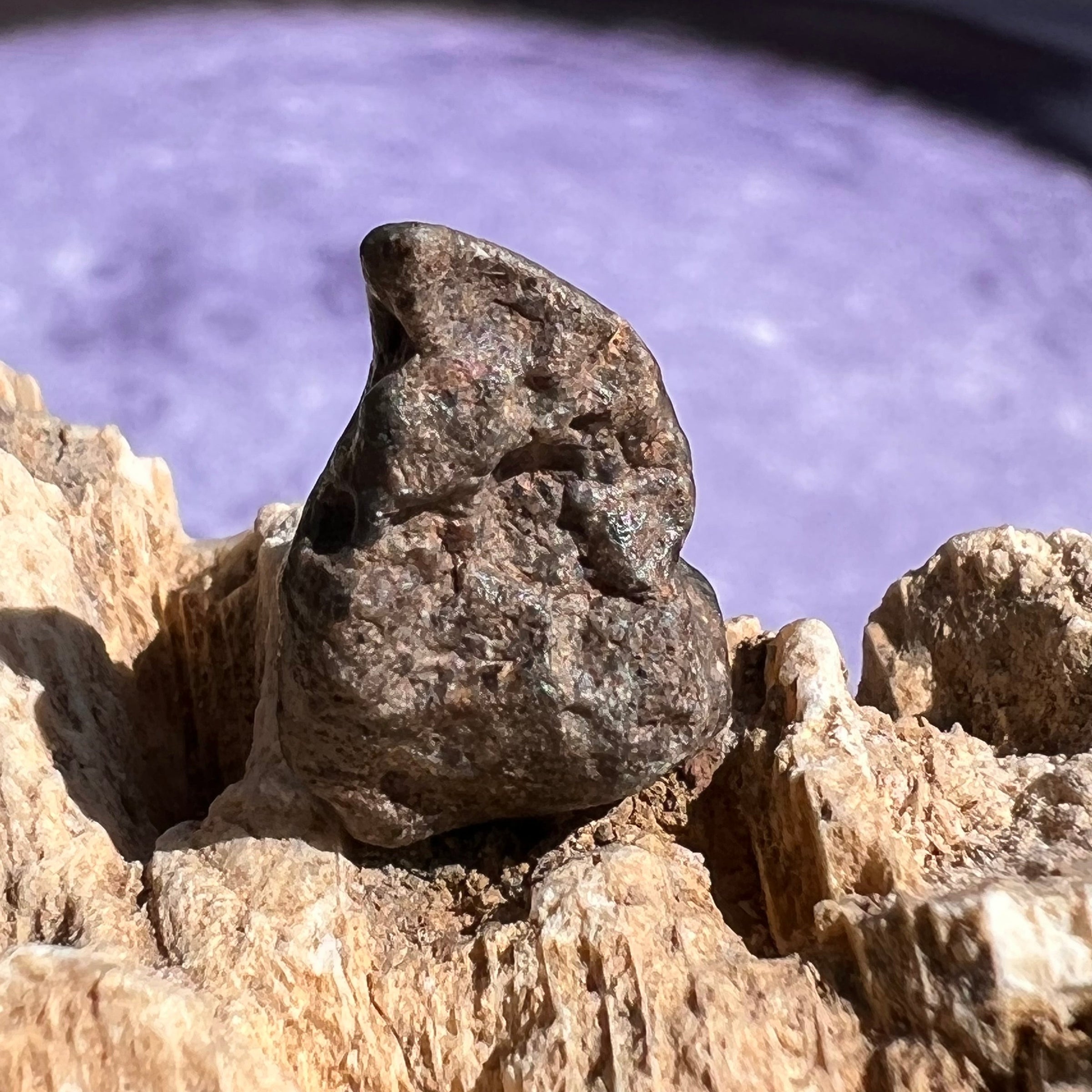 NWA 13974 Lunar Meteorite 1.7 grams #116-Moldavite Life