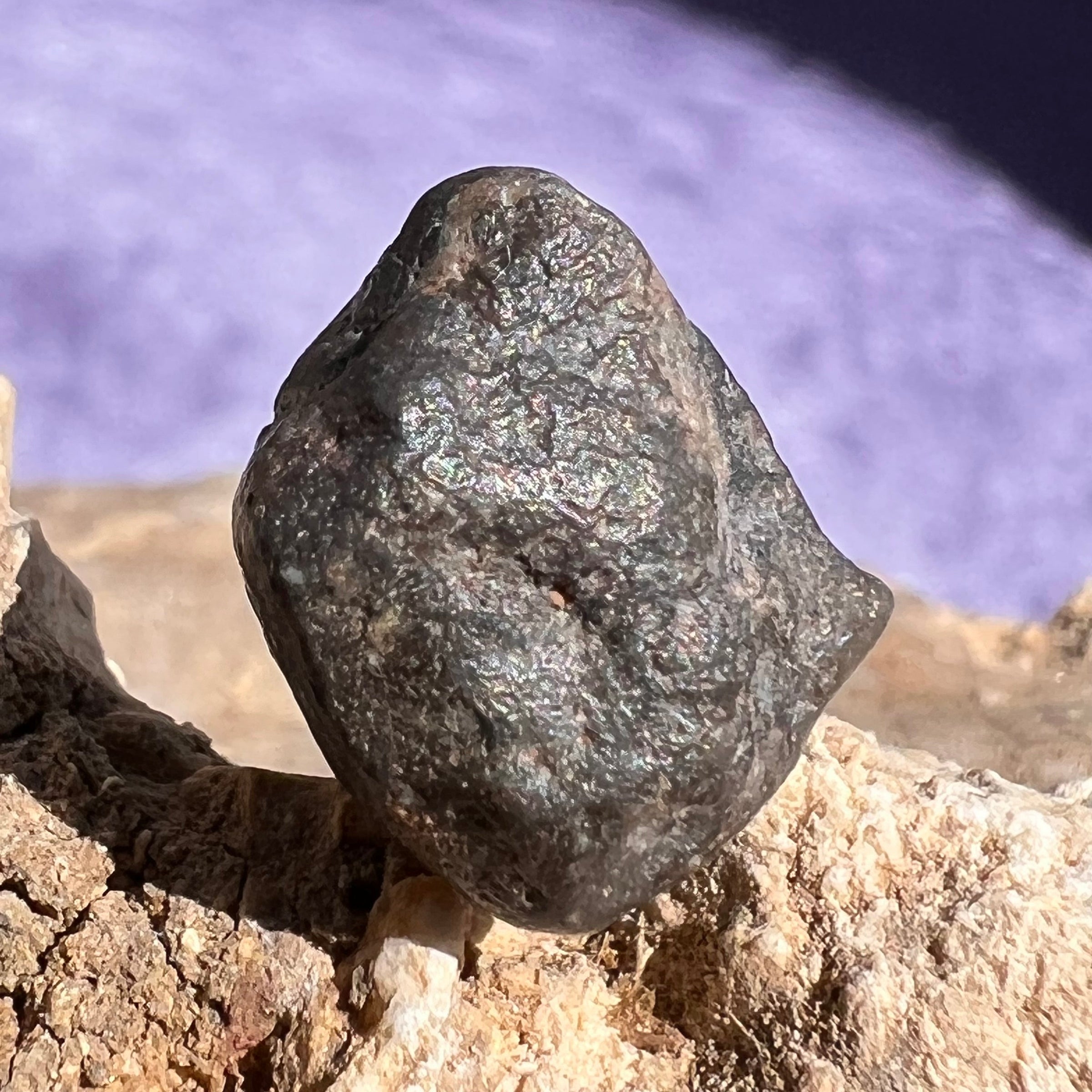 NWA 13974 Lunar Meteorite 2.1 grams #102-Moldavite Life
