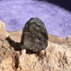 NWA 13974 Lunar Meteorite 2.1 grams #102-Moldavite Life