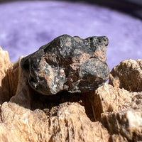 NWA 13974 Lunar Meteorite 2.4 grams #114-Moldavite Life
