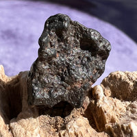 NWA 13974 Lunar Meteorite 2.8 grams #115-Moldavite Life