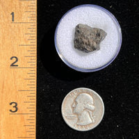 NWA 13974 Lunar Meteorite 2.8 grams #115-Moldavite Life