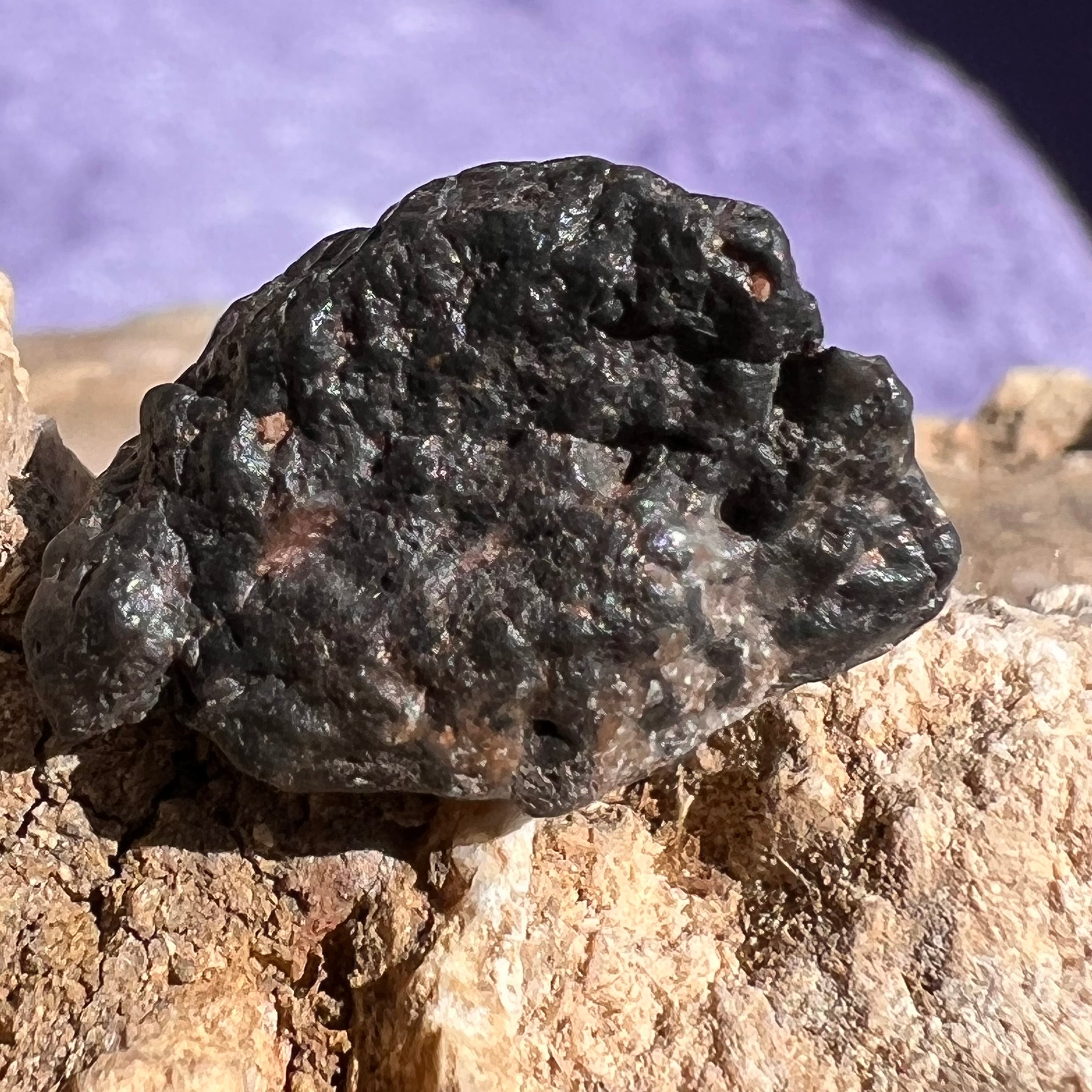 Lunar Meteorite feldspathic melt breccia Lunite | moldavitejewelry.com