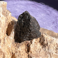NWA 13974 Lunar Meteorite 3.5 grams #104-Moldavite Life