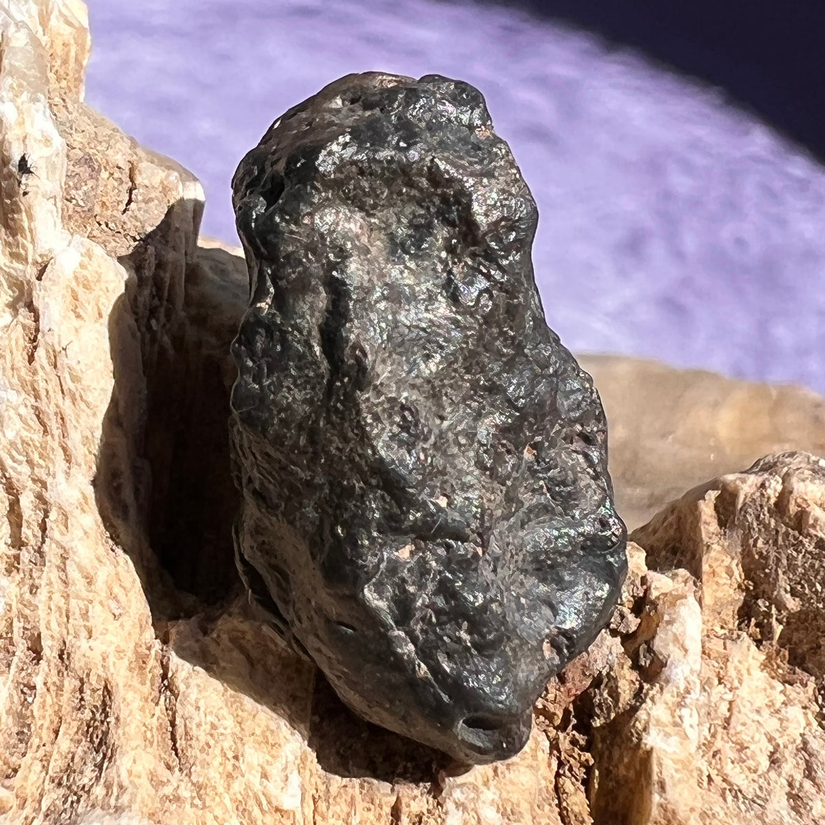 NWA 13974 Lunar Meteorite 3.7 grams #105-Moldavite Life