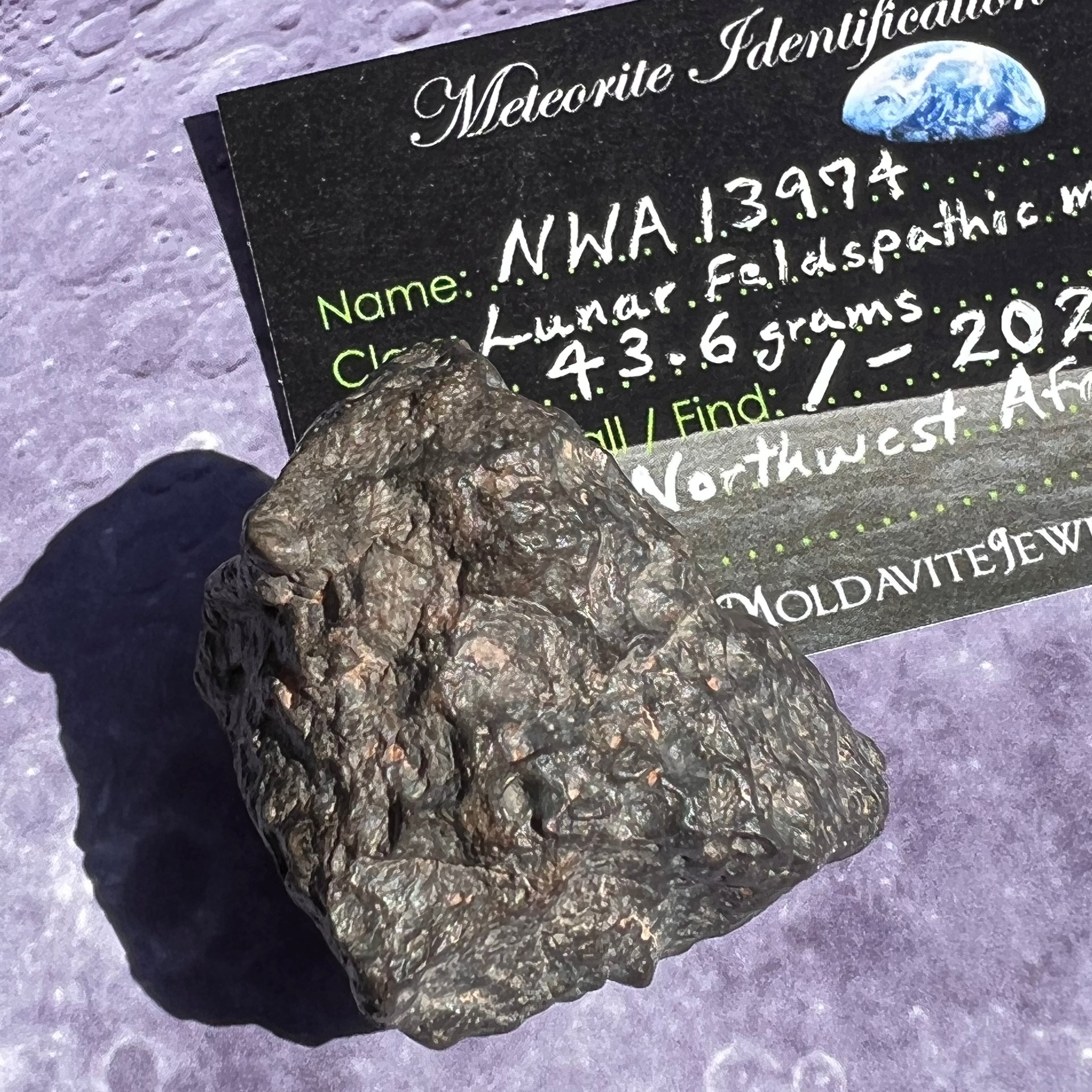 NWA 13974 Lunar Meteorite 43.6 grams #110