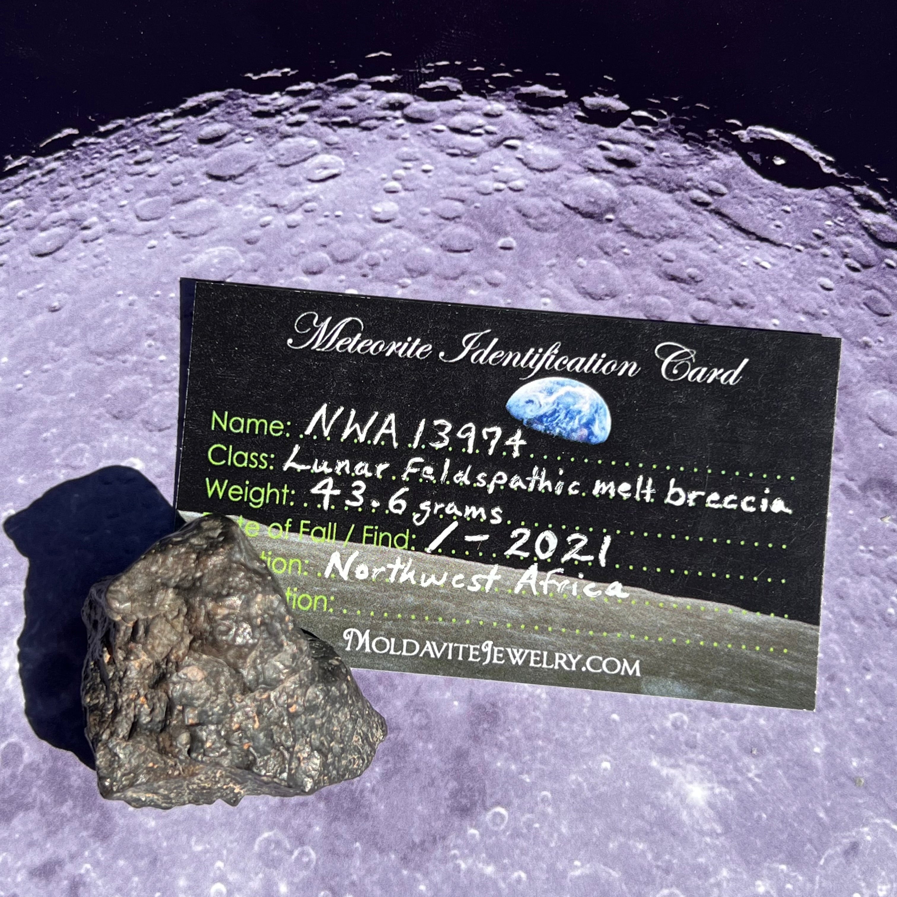 NWA 13974 Lunar Meteorite 43.6 grams #110