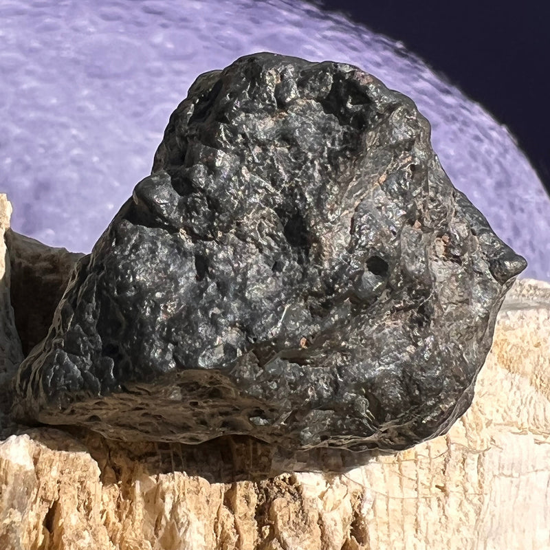 NWA 13974 Lunar Meteorite 43.6 grams #110-Moldavite Life