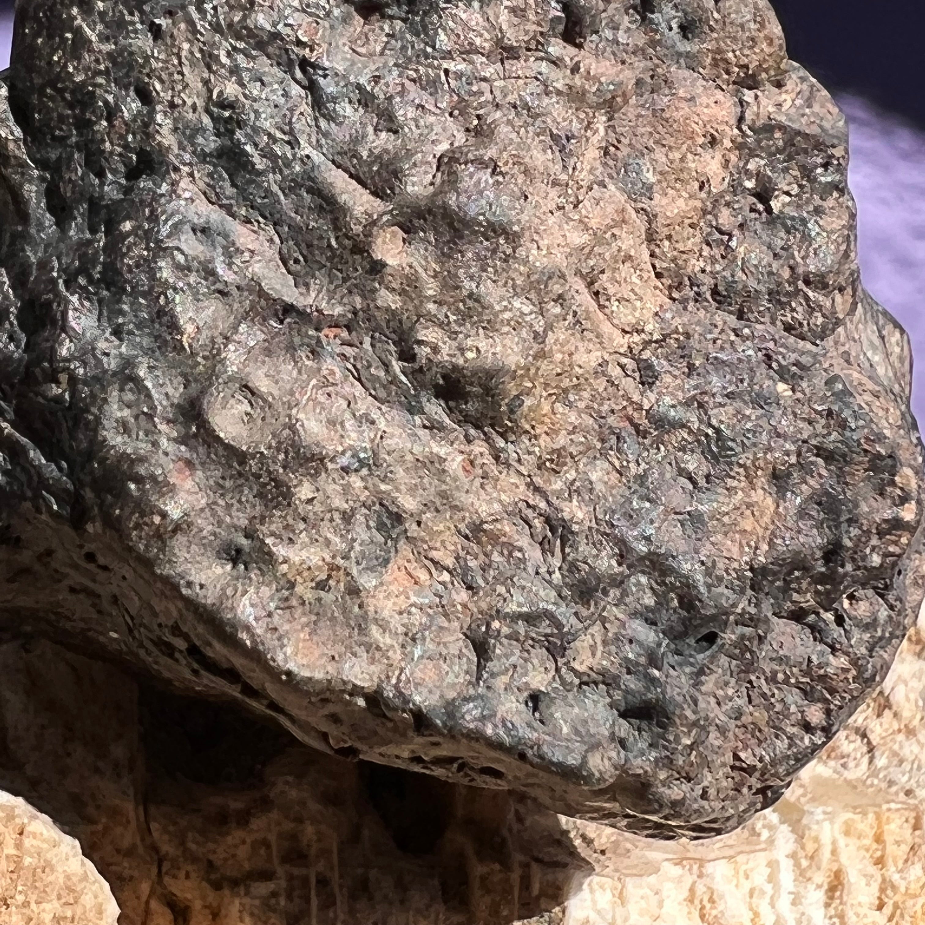 NWA 13974 Lunar Meteorite 43.6 grams #110