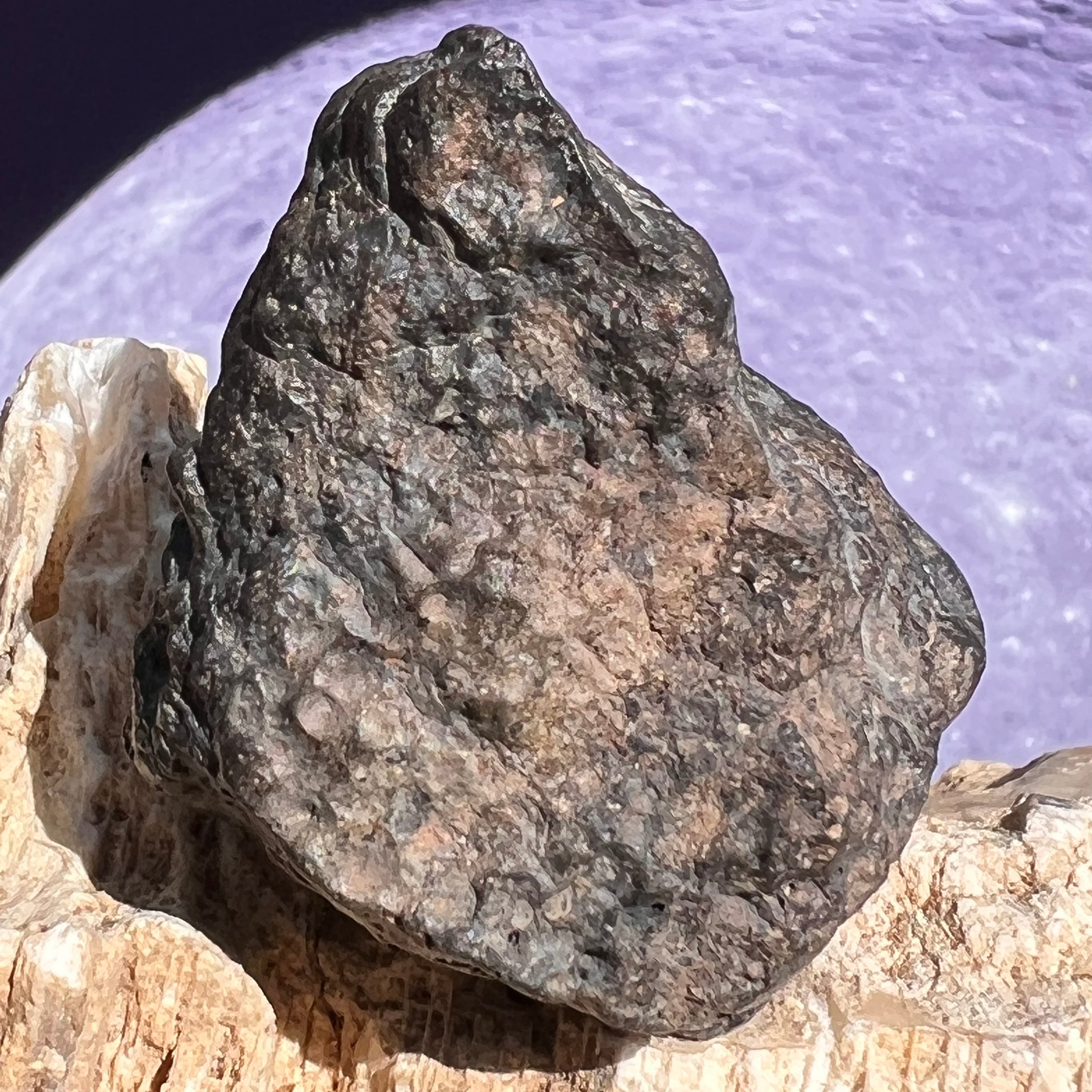 NWA 13974 Lunar Meteorite 43.6 grams #110