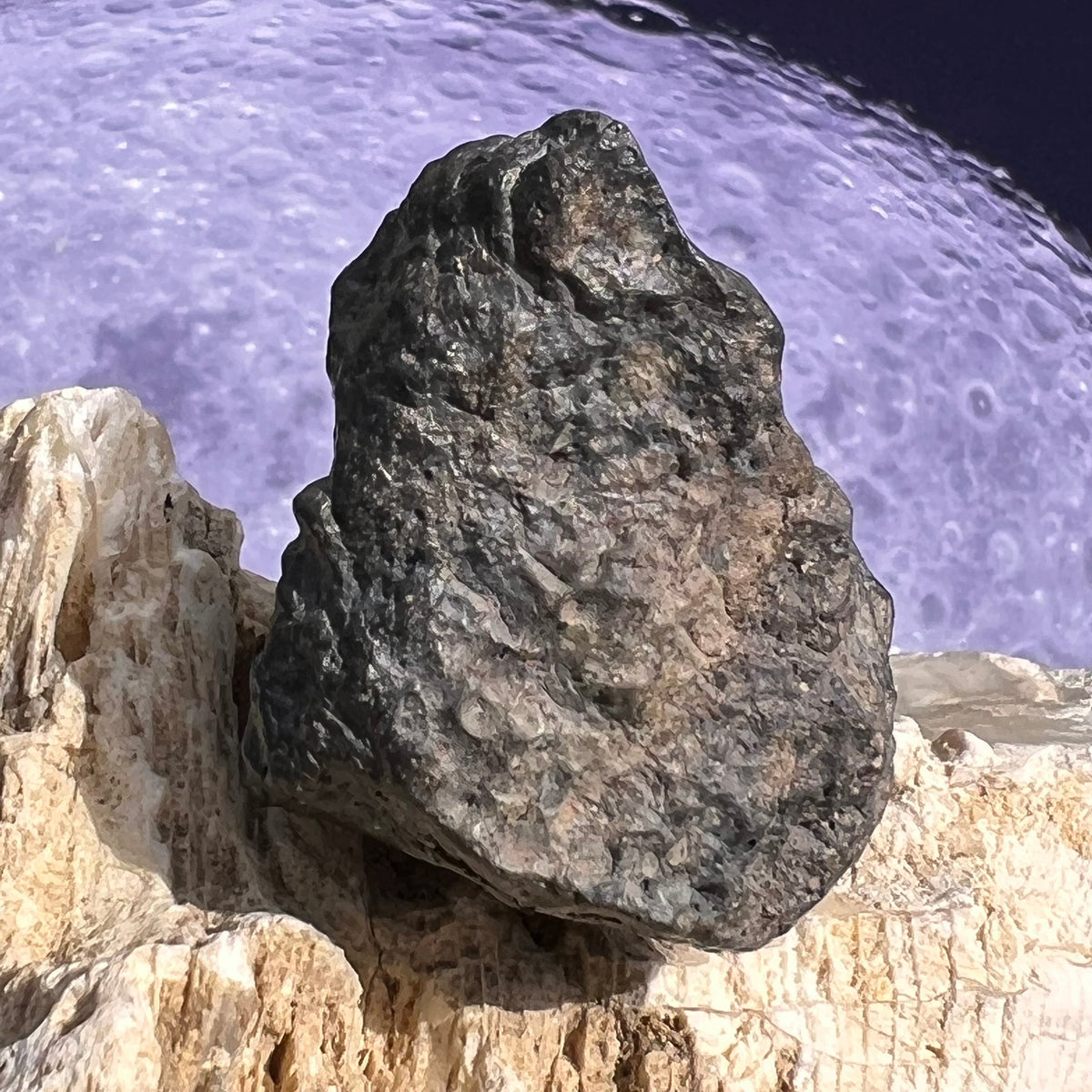 NWA 13974 Lunar Meteorite 43.6 grams #110-Moldavite Life