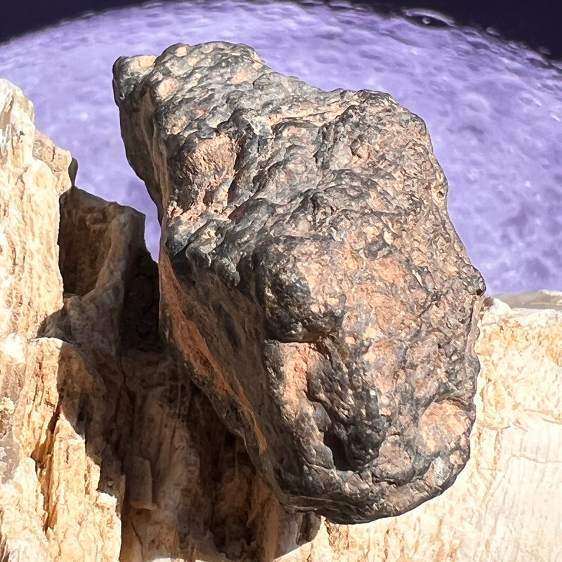 Alienite Stone Lunar Meteorite feldspathic melt breccia Lunite | moldavitejewelry.com ...