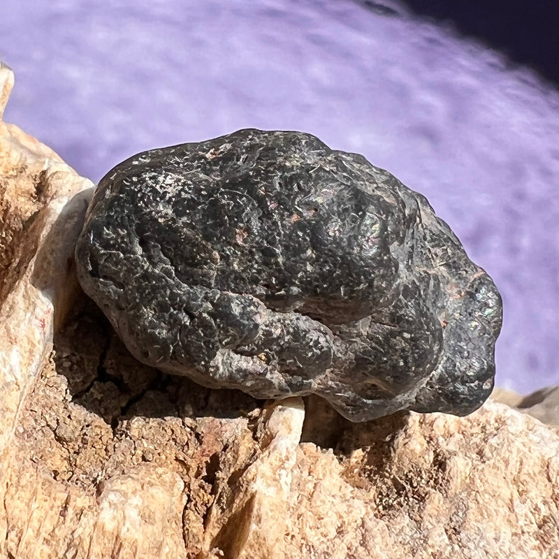 NWA 13974 Lunar Meteorite 6.3 grams #107-Moldavite Life