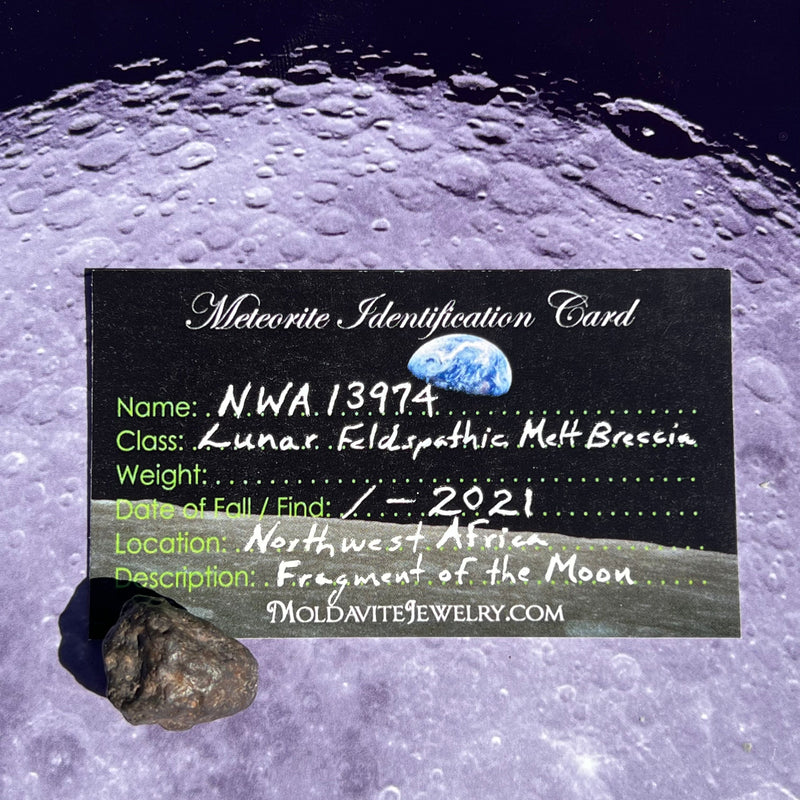 NWA 13974 Lunar Meteorite 6.5 grams #108-Moldavite Life