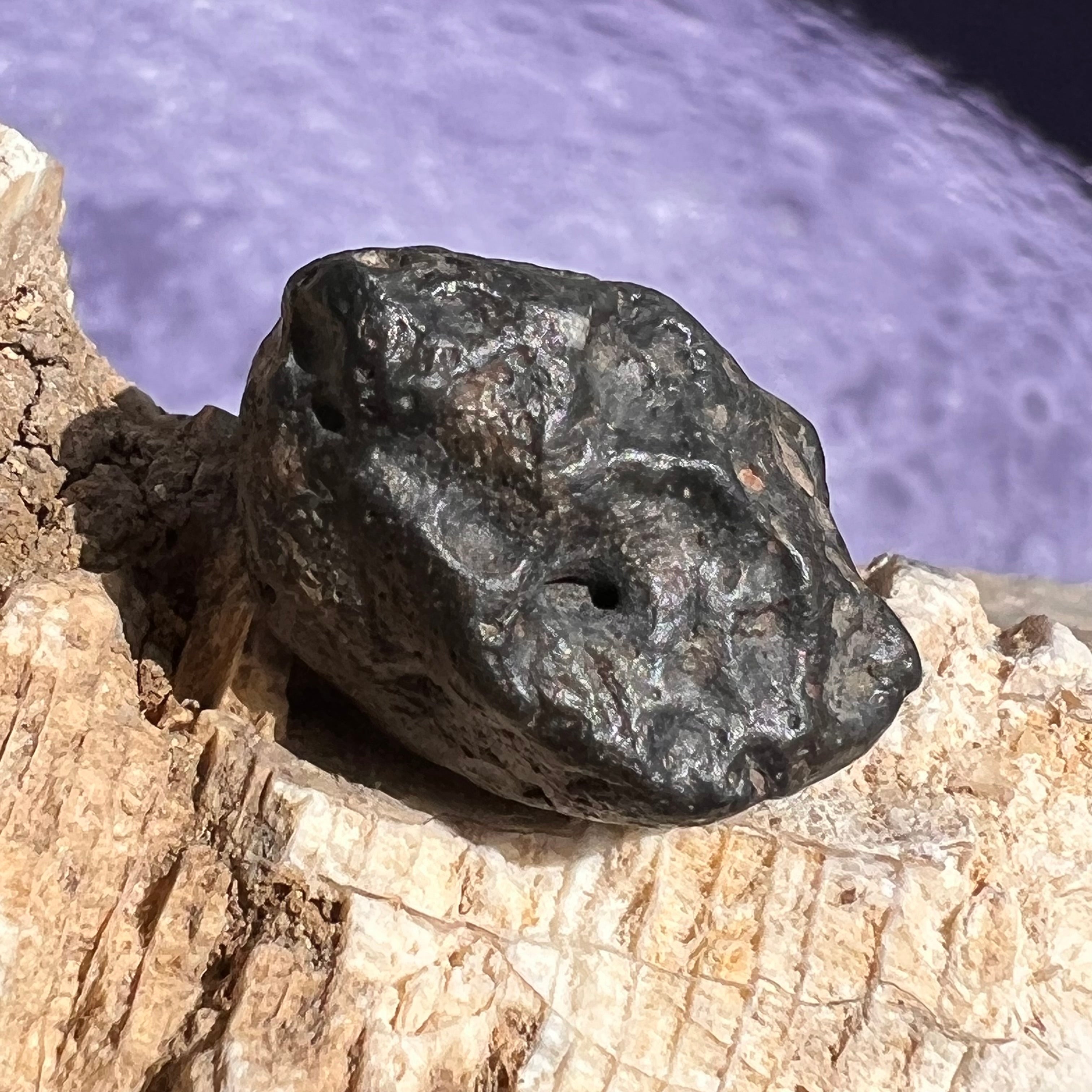 Lunar Meteorite feldspathic melt breccia Lunite | moldavitejewelry.com