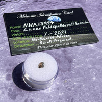 NWA 13974 Lunar Meteorite tiny fragment #123-Moldavite Life