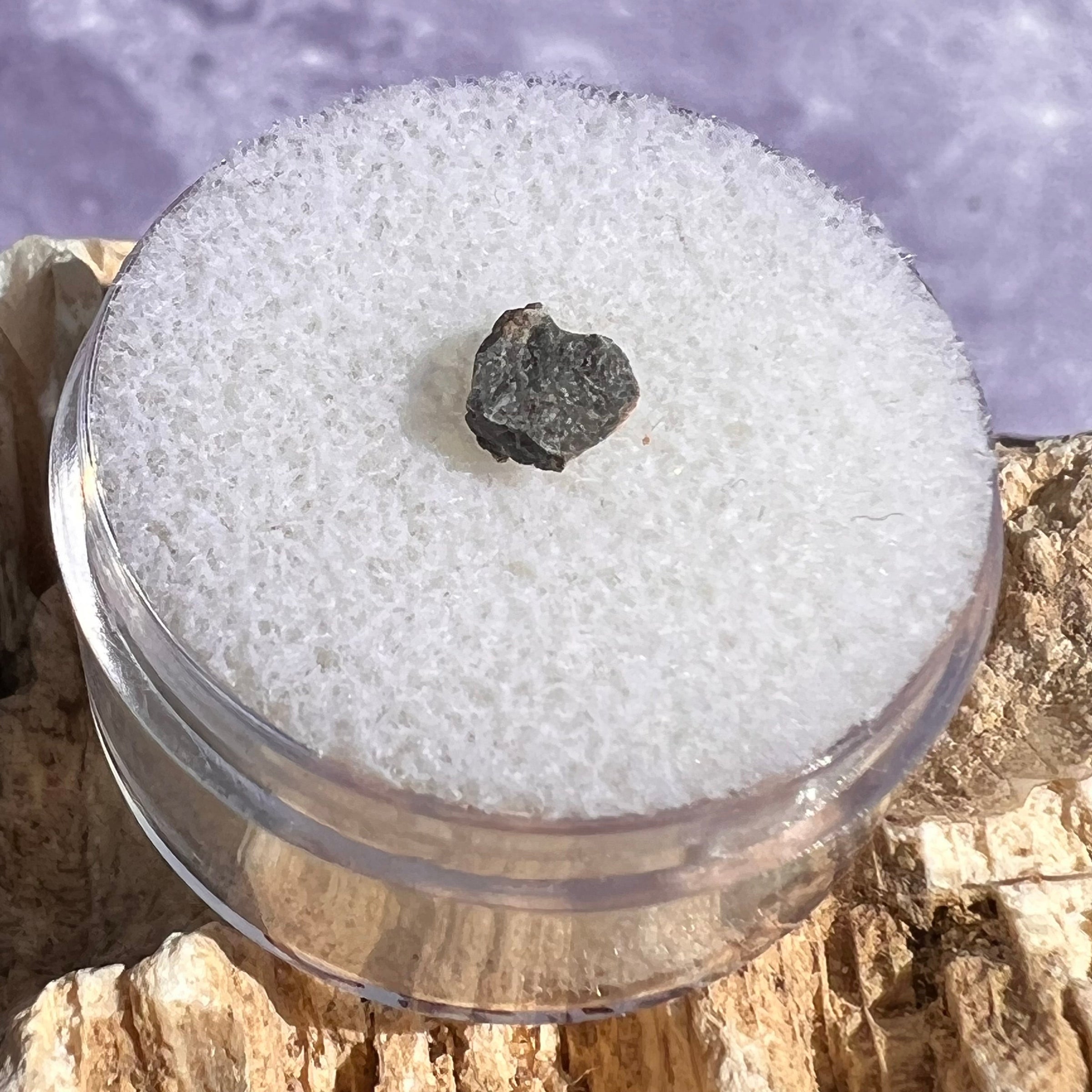 NWA 13974 Lunar Meteorite tiny fragment #125-Moldavite Life