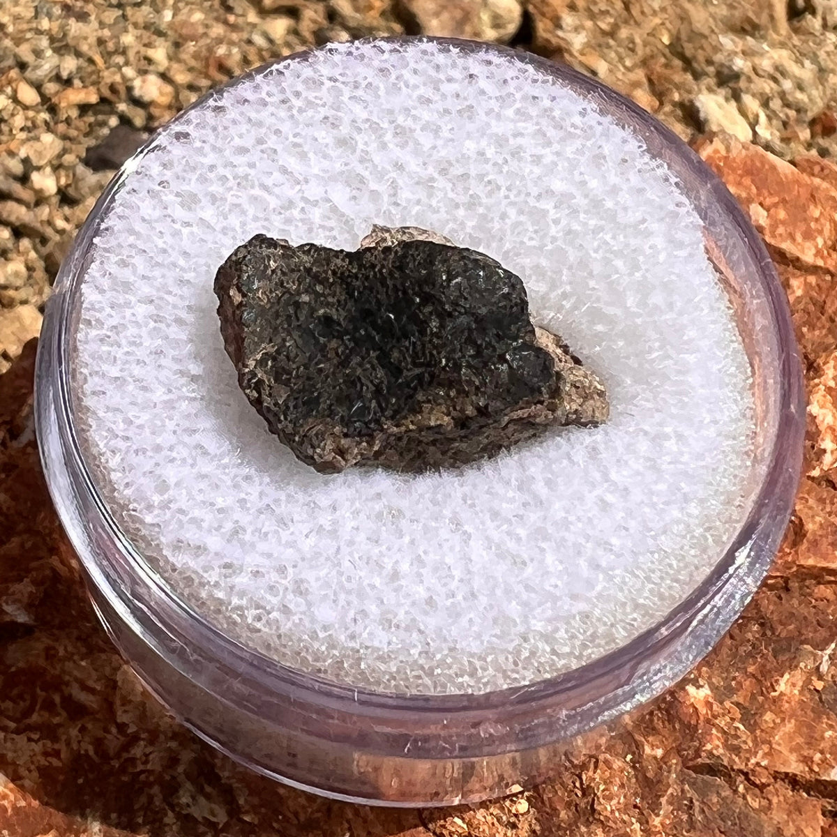 NWA 7397 Mars Meteorite fragment #80-Moldavite Life