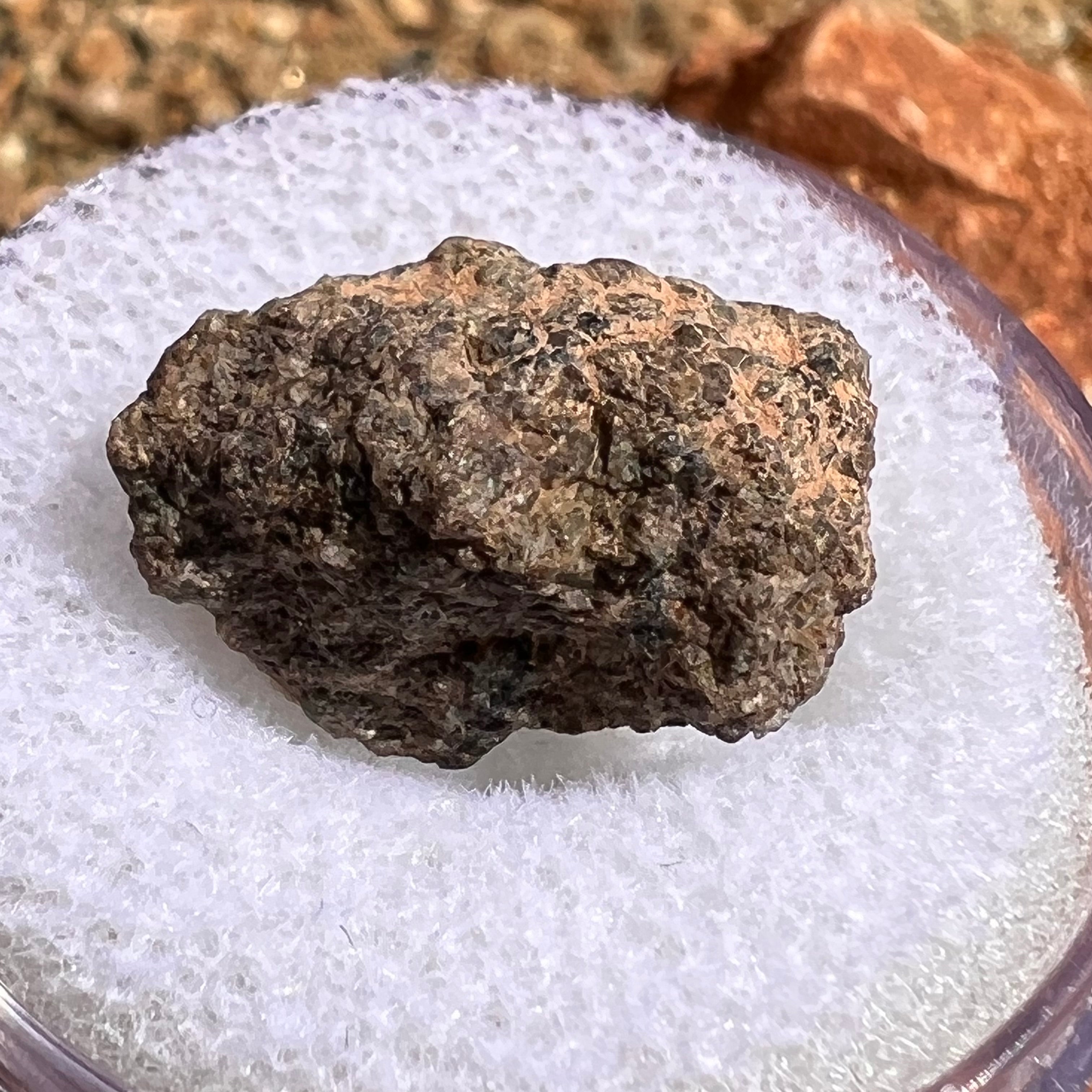 Mars Meteorite NWA 7379 Martian Shergottite | moldavitejewelry.com
