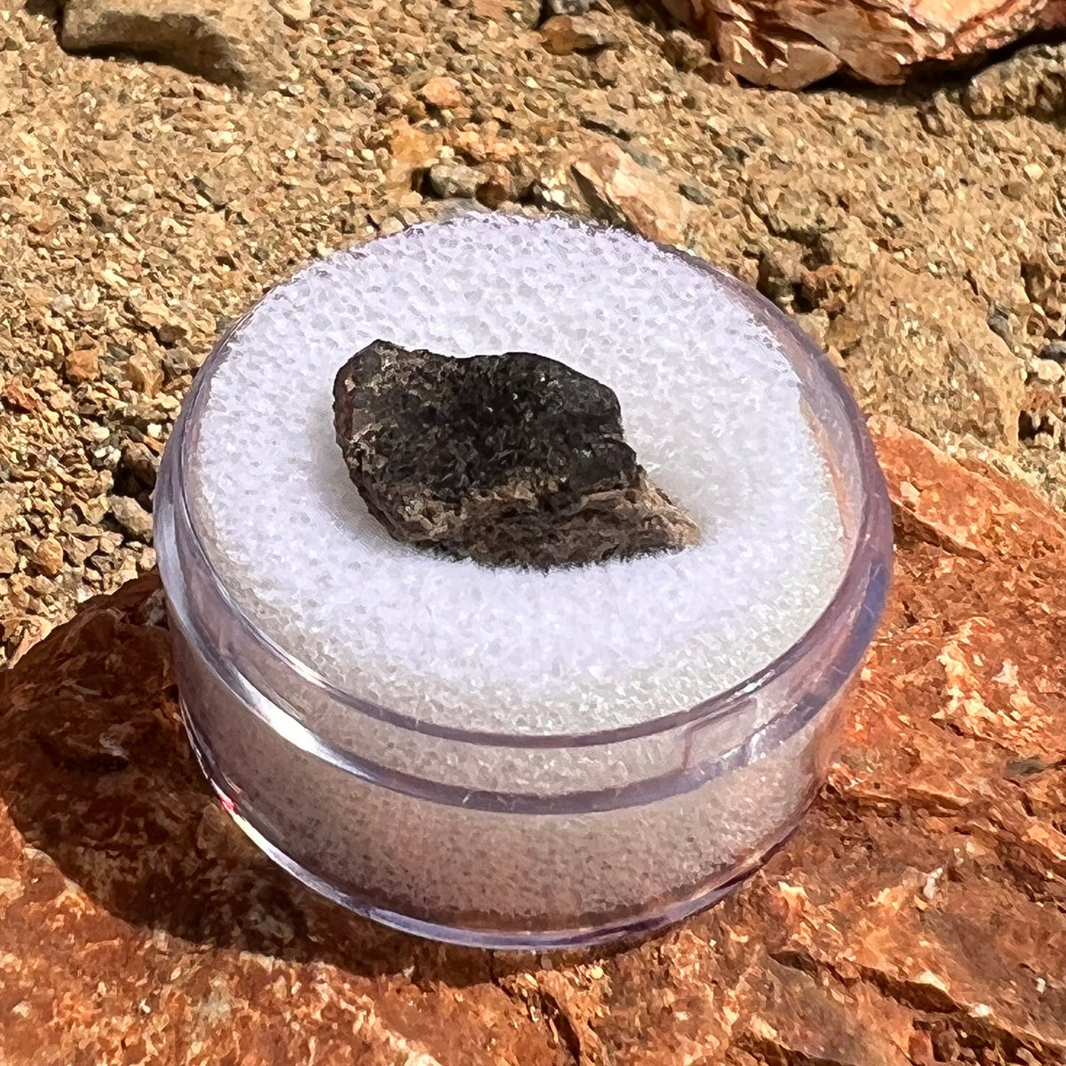 NWA 7397 Mars Meteorite fragment #80-Moldavite Life