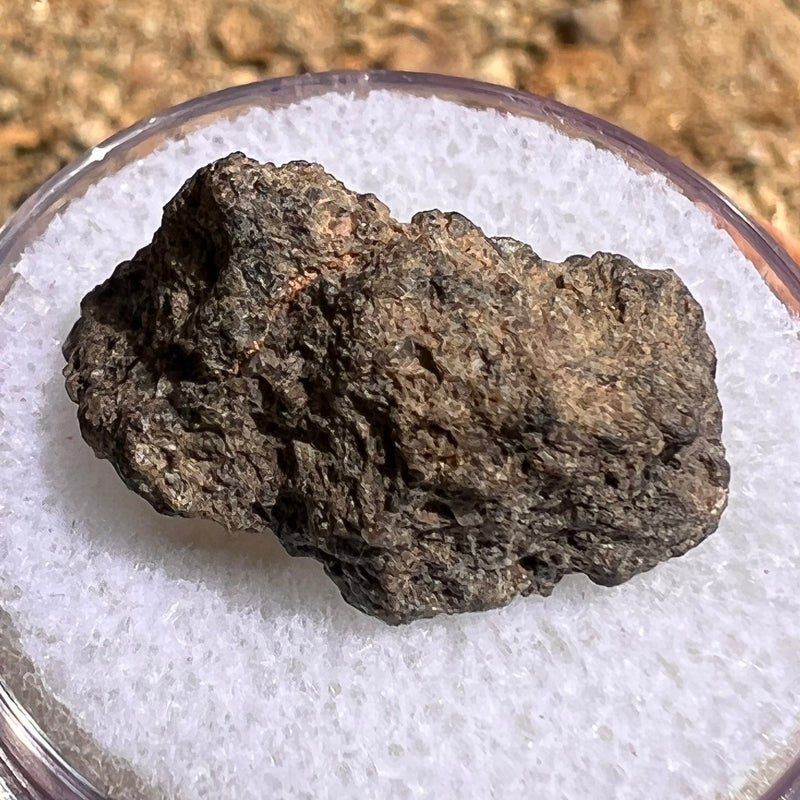 NWA 7397 Mars Meteorite fragment #81-Moldavite Life