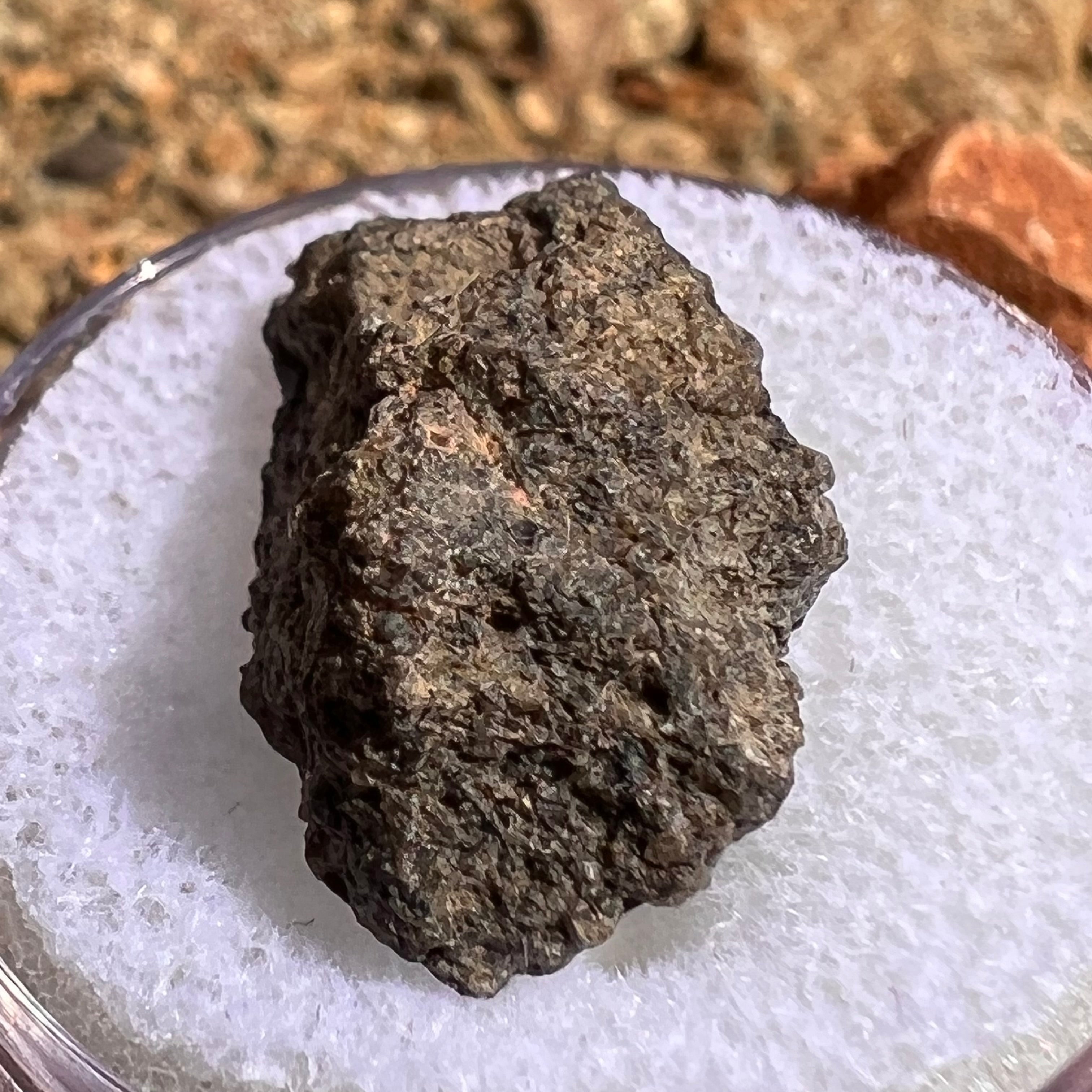 美術品・アンティーク・コレクション 火星隕石 NWA2975 Martian Meteorite