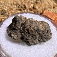 NWA 7397 Mars Meteorite fragment #81-Moldavite Life