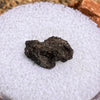 NWA 7397 Mars Meteorite small fragment #77