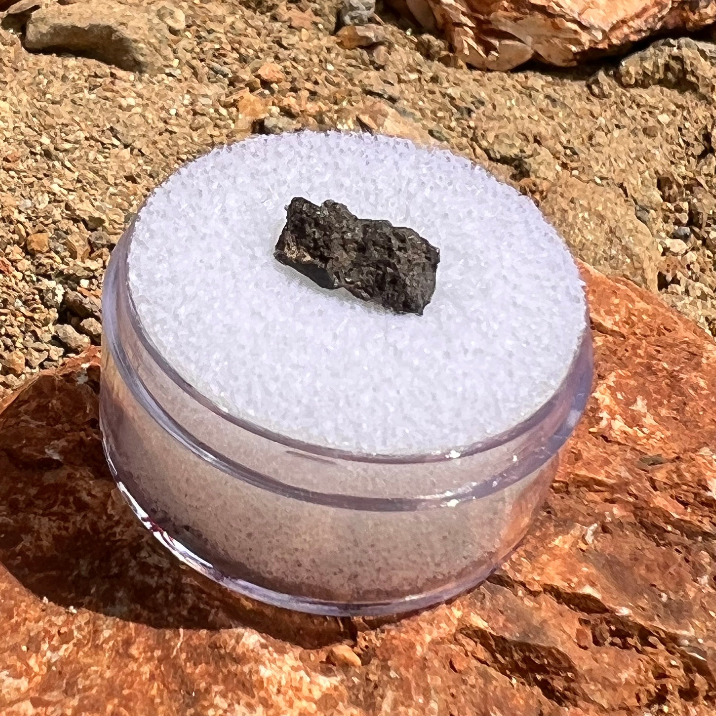 NWA 7397 Mars Meteorite small fragment #77