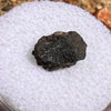 NWA 7397 Mars Meteorite small fragment #78-Moldavite Life